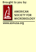 American Society For Microbiology